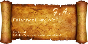 Felvinczi Anikó névjegykártya