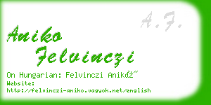 aniko felvinczi business card